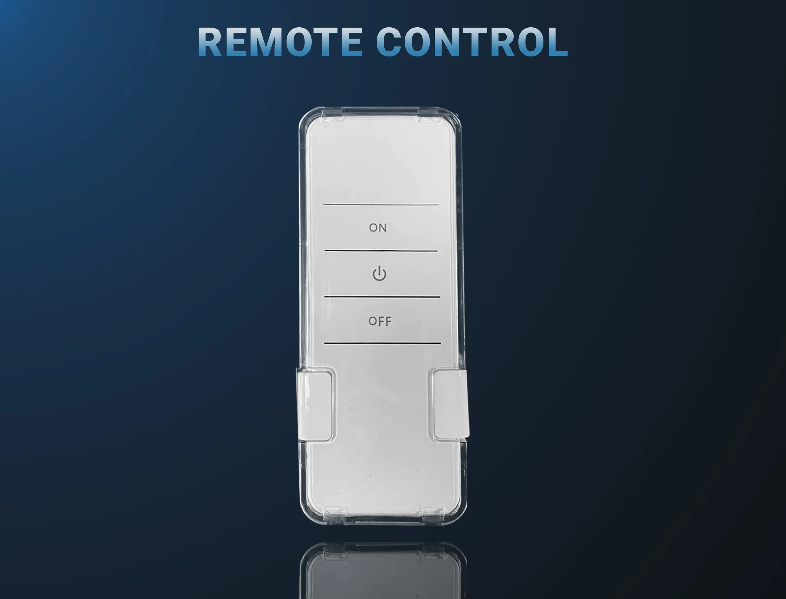 remote website